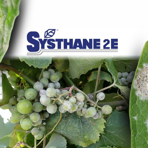 Systhane 2E