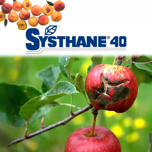 Systhane 40