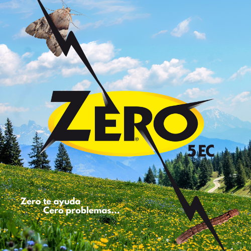 Zero