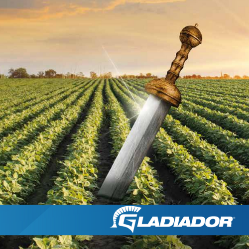 GLADIADOR