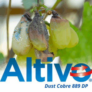 ALTIVO DUST COBRE