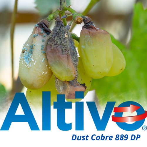 ALTIVO DUST COBRE