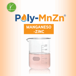 POLY MnZn ANASAC (10 L)