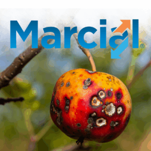 MARCIAL SC (1 L)