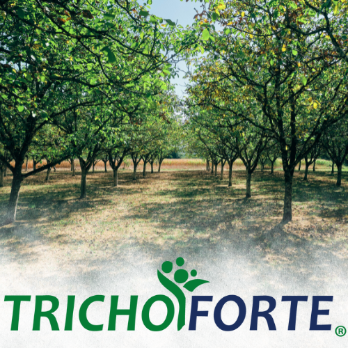 TRICHOFORTE