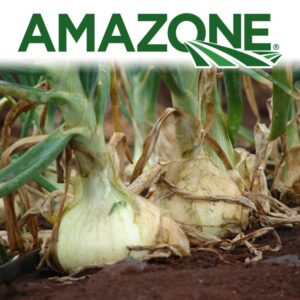 AMAZONE 608 SC (1 L)