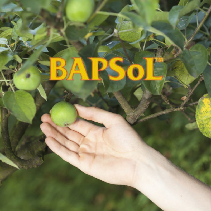 bapsol-100-sl-5-l