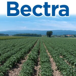 BECTRA 48 SC (1 L)