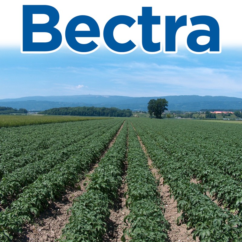bectra-48-sc