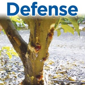 DEFENSE 80 WP (1 KG)