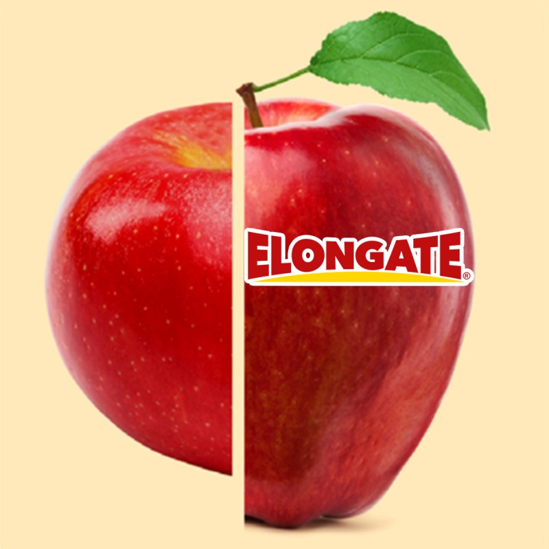 elongate-sl